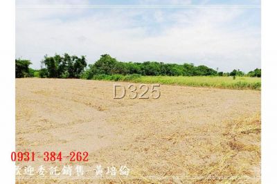 近蕭壠園區面寬農地台南培倫房屋土地王視意圖