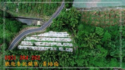 走馬瀨有水電農地台南培倫房屋土地王視意圖