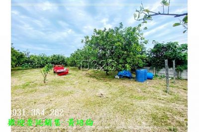 黎明中學柚子樹農地台南培倫房屋土地王視意圖