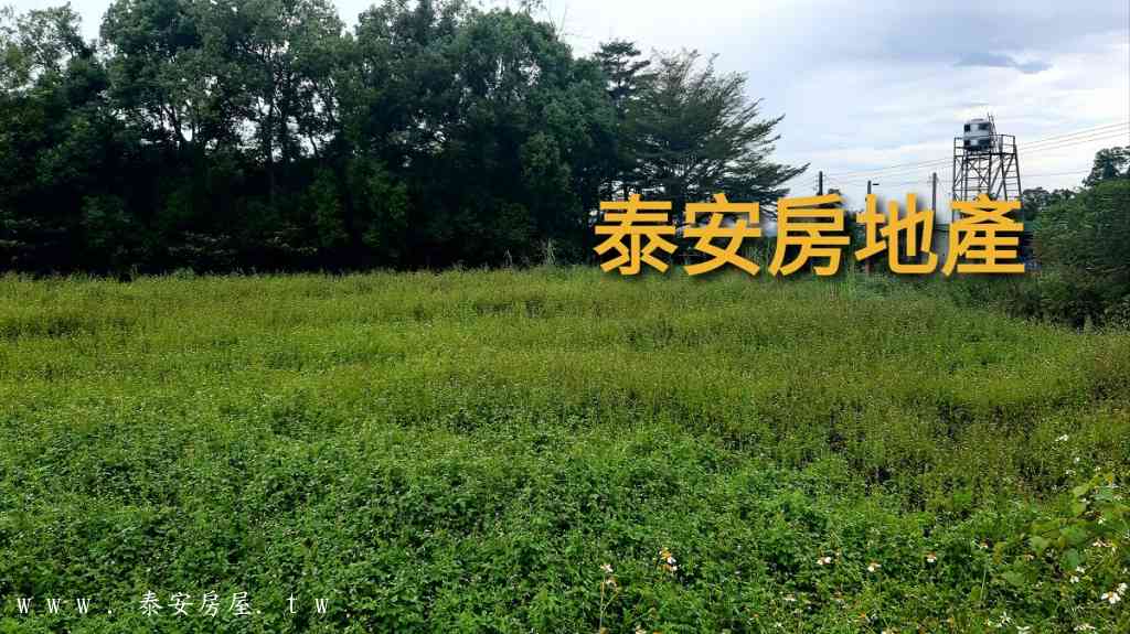 卑南鄉初鹿段農地視意圖